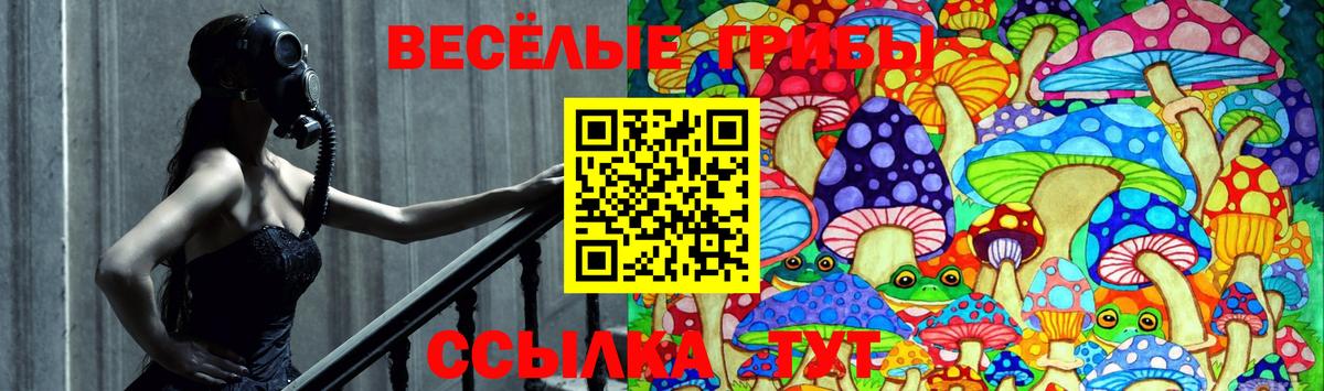 Галлюциногенные грибы Cubensis  Галлюциногенные грибы мицелий  Вход с VPN  Малоярославец 